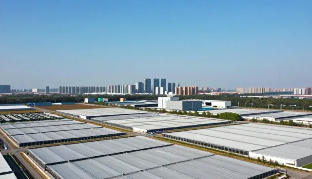 网络技术开发中域名解析的常见问题与处理方法